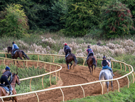 EL210922-17 - Cantering on the sand loop